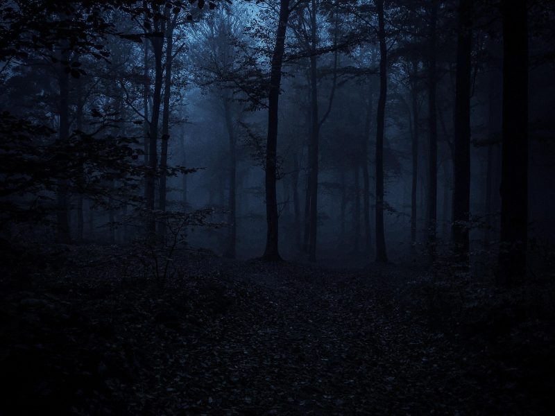 Erlkönig – Goethe (Vortrag)